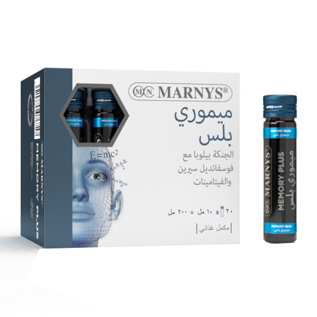 mnv231_memory_plus